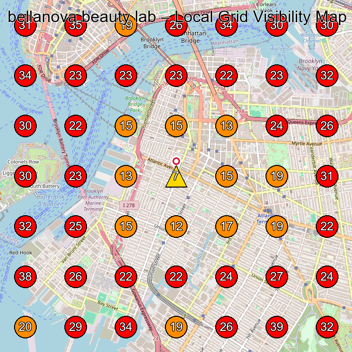 bellanova beauty lab GeoGrid visibility map for Facial Spa in Brooklyn